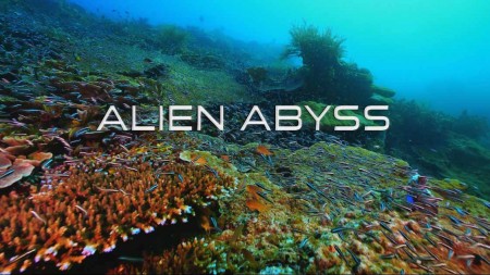 Инопланетная бездна 1 серия. История происхождения / Alien Abyss (2021)