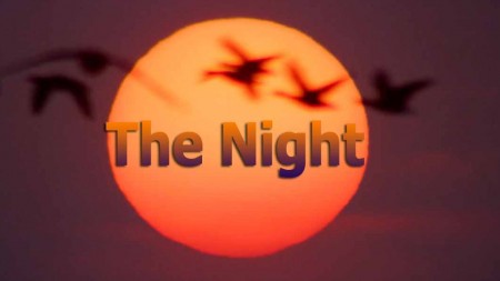 Наше время — ночь 2 серия. От заката до рассвета / The Night (2018)