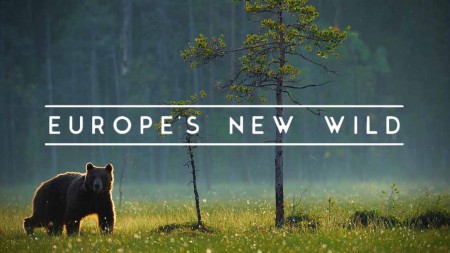 Новая жизнь дикой природы Европы 4 серия. Европейская Амазонка / Europe's New Wild (2021)