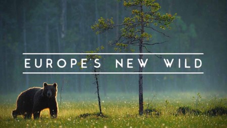 Новая жизнь дикой природы Европы 1 серия. Возвращение титанов / Europe's New Wild (2021)