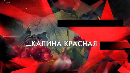 Калина красная. Следствие вели 03.09.2023