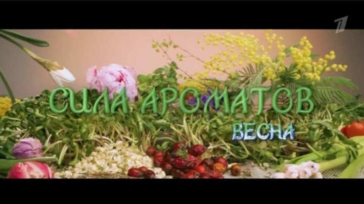 Сила ароматов Весна 27.04.2025
