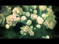 I Love You (Dimitra) - Tristeria / New Age Music HD 1080p Video