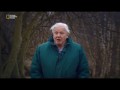 BBC Аттенборо. 2013 История животного мира 02 Рассвет млекопитающих