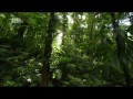Неизведанные острова 2 Карибы / Caribbean