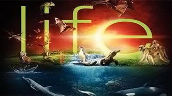 BBC Жизнь / BBC Life 09. Растения (2009)