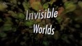 Невидимые миры Наш мир Discovery HD