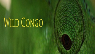 Дикая река Конго 1 Река монстров  (2013) HD