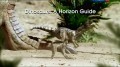 BBC По лабиринтам динозавриады / BBC Dinosaurs. A Horizon Guide