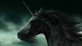 Единорог: легенда или реальность? / The Unicorn: Legend or Reality?