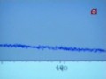 Исчезнувший флот Хубилай-хана