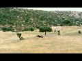 Последняя рысь Испании (2005)