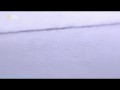 В поисках правды 4 Лох-Несское чудовище