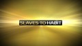 В плену привычки / Slaves To Habit (2014)