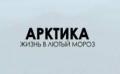 BBC Арктика. Жизнь в лютый мороз (2010)