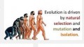 По следам эволюции человека / DNA decrypting of human journey
