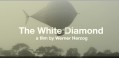 Белый алмаз / Белый бриллиант / The White Diamond (2004) Вернер Херцог