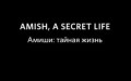 Амиши: тайная жизнь