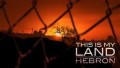 Хеврон - земля моя / This is my land Hebron (2011)