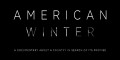 Американская зима / American Winter (2013)