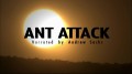 Атака муравьев / Ant Attack (2008)