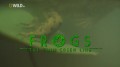 Лягушки на грани исчезновения / Frogs The Thin Green Line (2009) HD