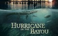 Ураган на Байу / IMAX Hurricane on the Bayou (2006)