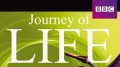 BBC Эволюция жизни / Journey of Life 3 В воздухе (2005)