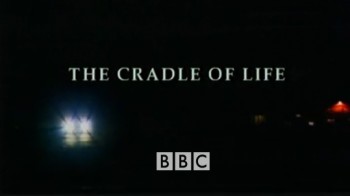 BBC Колыбель жизни / The Cradle of Life (2003)