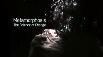 BBC Метаморфоз Искусство Перевоплощения / Metamorphosis The Science of Change (2013) HD