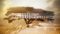 Анды: хребет дракона / Andes: The Dragon's Back (2007) PBS Nature HD