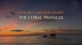 Великие Тайны Кораллового Треугольника 2 Передвижное пиршество (2013) HD