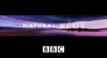 BBC Мир Природы. Невероятные Обитатели Глубин / The Natural World. Incredible Suckers