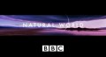 BBC Мир природы. Снежный Барс - Мифы или реальность / Nature World. Snow Leopard - Beyond the Myth