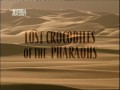 BBC Исчезнувшие крокодилы фараонов / Natural World: Lost crocodiles of the pharaons