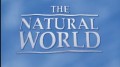 BBC Мир природы. Сокровища Анд / The Natural World. Treasure Of The Andes (1993)