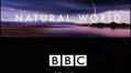 BBC Мир природы. Загадка песков / The Natural World.