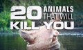 20 животных, которые могут вас убить / 20 Animals that Will Kill You (2012)