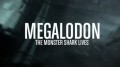 Акула-монстр: Мегалодон жив / Megalodon: The Monster Shark Lives (2013) HD