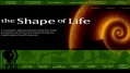 Форма Жизни / The Shape of Life - Истоки HD