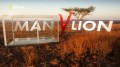 Человек против льва / По следу льва / Man v. Lion / Dinner With Lions / Man vs. Lion (2014) HD