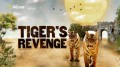 Месть Тигра / Месть Тигрицы / Tiger's Revenge (2014) HD