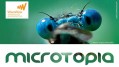 Микротопия / Microtopia (2013)