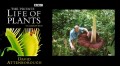 BBC: Невидимая жизнь растений. Часть 4. Борьба за выживание.