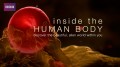 BBC Внутри Человеческого Тела / Inside the Human Body 02. От начала и до конца (2011) HD