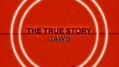 Правда и Вымысел / The True Story 04. Челюсти (2010)