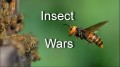 Специальный выпуск: Войны насекомых / Special: Insect Wars (2005) National Geographic HD