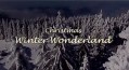Рождество. Зимняя сказка / Christmas. Winter Womderland (2014)
