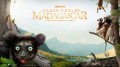 Остров лемуров: Мадагаскар / Island of Lemurs: Madagascar (2014) HD
