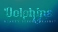 Дельфины: тест на интеллект / Dolphins: Beauty Before Brains? (2011)